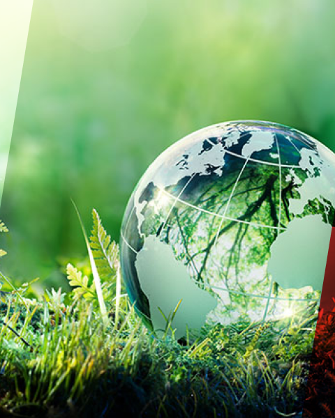 fromm-content-nachhaltig-layer-img